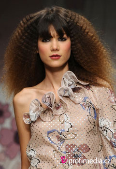 Peinados de famosas - Fashion shows Spring 2012