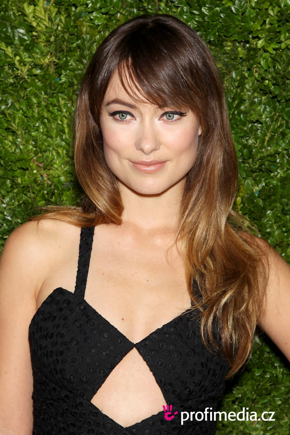 Celebrity Haircut - Olivia Wilde Hairstyles